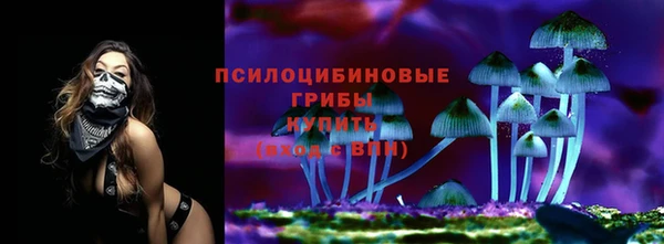 хмурый Осинники
