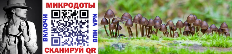 Галлюциногенные грибы Psilocybe  МЕГА зеркало  Богучар 